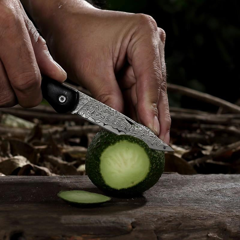 Damascus Steel Camping Knife, Chef'S Knife, Ergonomic Handle Design, Comfortable and Slip-Resistant, Suitable for Kitchen Camping Cooking Barbecue, a Perfect Gift for and Friends