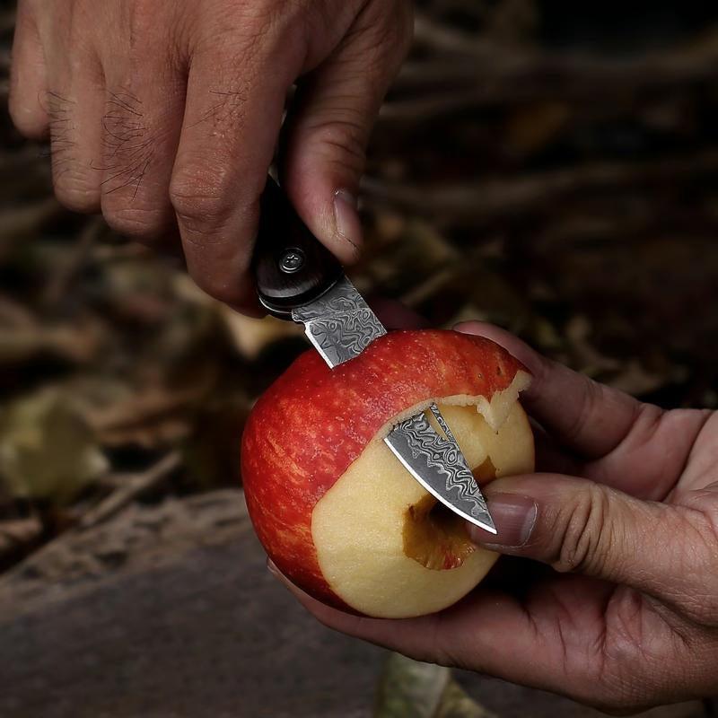 Damascus Steel Camping Knife, Chef'S Knife, Ergonomic Handle Design, Comfortable and Slip-Resistant, Suitable for Kitchen Camping Cooking Barbecue, a Perfect Gift for and Friends